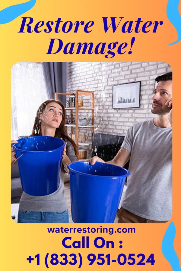 water restoration Coastal Flood Recovery Services Lawrence