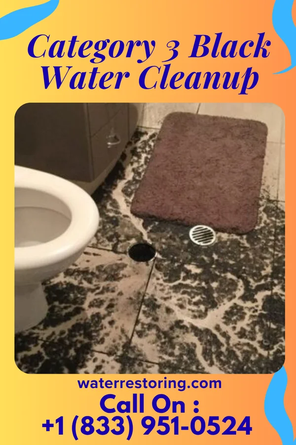 Category 3 Black Water Cleanup in Lawrence, NE